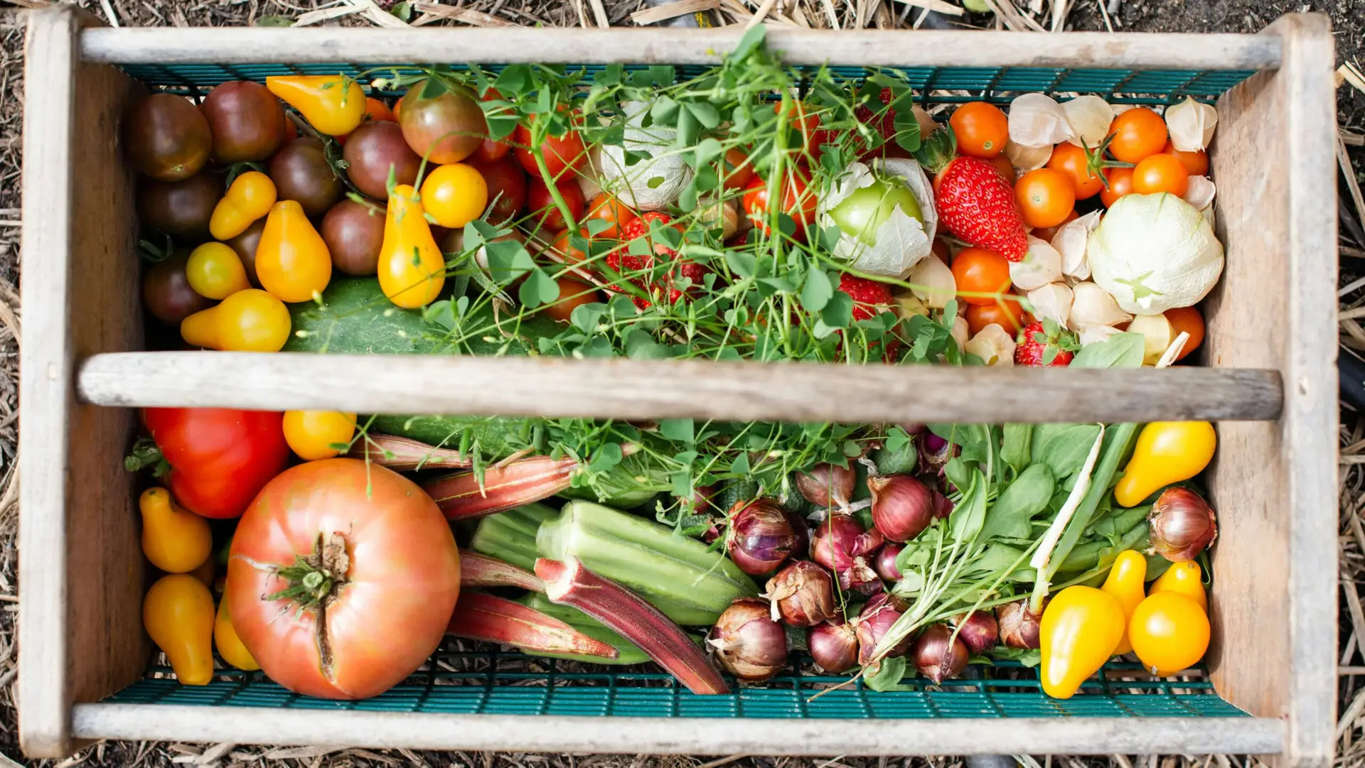 Garden Produce Basket Cheyenne Wy