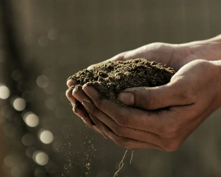 Natural compost cheyenne wy farm Innate Harvest